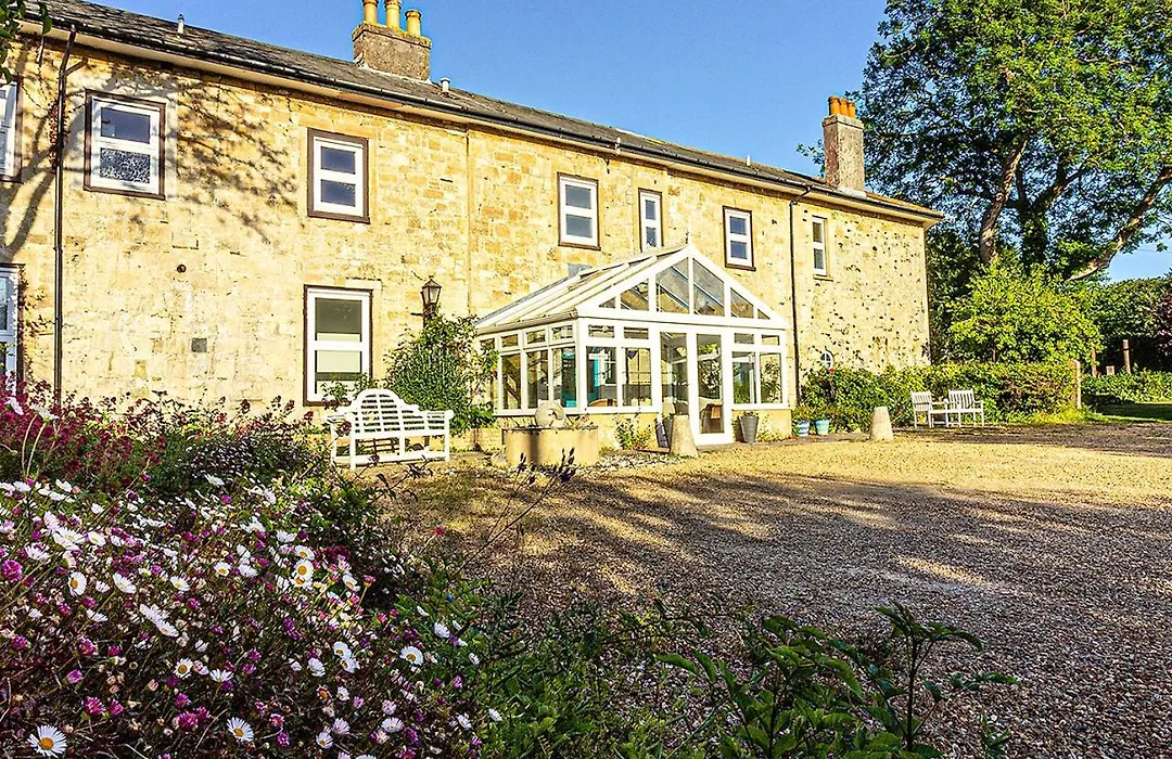 Cosy Wolf Bed & Breakfast-1